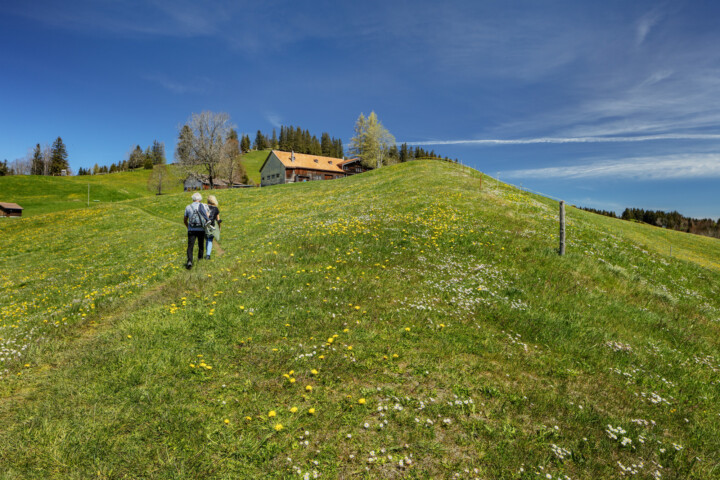 Appenzell Ausserrohden, Gais, Ostschweiz, Schweiz, Suisse, Switzerland, Verkehr, Wanderweg, Weg