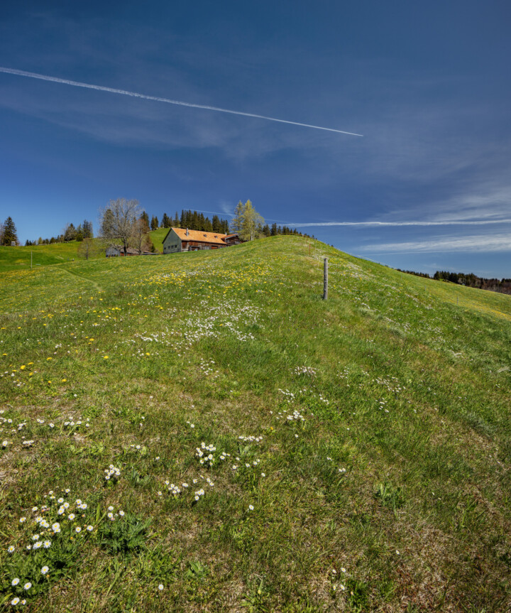 Appenzell Ausserrohden, Gais, Ostschweiz, Schweiz, Suisse, Switzerland, Verkehr, Wanderweg, Weg