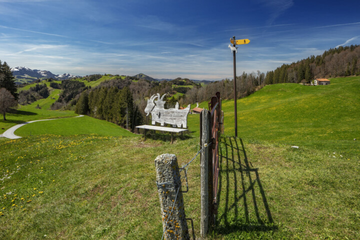 Appenzell Ausserrohden, Aussichtsbank, Bank, Gais, Ostschweiz, Schweiz, Suisse, Switzerland, Verkehr, Wanderweg, Weg