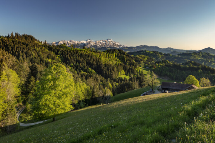 Alp, Alpen, Alps, Alpstein, Appenzell Ausserrohden, Aussicht, Gais, Ostschweiz, Schweiz, Suisse, Switzerland, Säntis