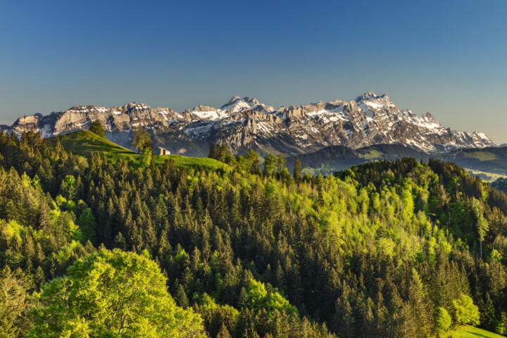 Alp, Alpen, Alps, Alpstein, Appenzell Ausserrohden, Aussicht, Gais, Ostschweiz, Schweiz, Suisse, Switzerland, Säntis, Wald