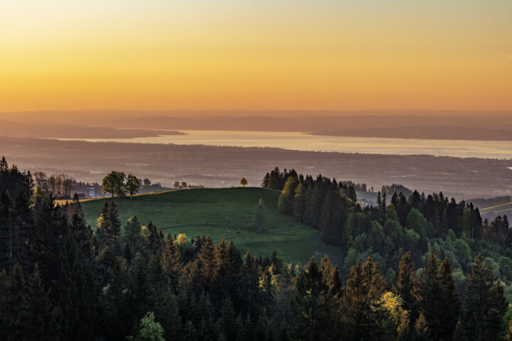 Abend, Abendrot, Appenzell, Appenzell Ausserrohden, Aussicht, Bodensee, Gais, Hügel, Ostschweiz, Schweiz, See, Sommer, Suisse, Switzerland, Wetter, summer