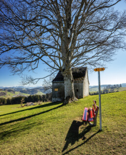 Appenzell, Appenzeller Vorderland, Aussichtsbank, Bank, Baum, Frühling, Heiden, Ostschweiz, Schweiz, Spring, Suisse, Switzerland, Verkehr, Wanderweg, Weg
