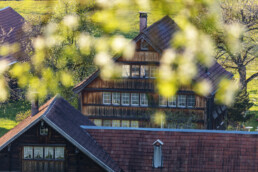 Appenzell, Appenzell Ausserrohden, Appenzellerhaus, Bauerhaus, Bäume, Frühling, Haus, Herisau, Ortsbild, Ostschweiz, Schweiz, Spring, Suisse, Switzerland, Tree, Trees, Wald, Weiler