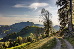 Appenzell, Frühling, Hundwil, Schweiz, Spring, Suisse, Switzerland