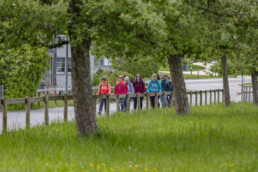 Sport, Stein, Wandern