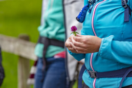 Sport, Stein, Wandern