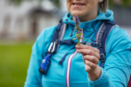 Sport, Stein, Wandern