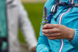 Sport, Stein, Wandern