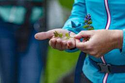 Sport, Stein, Wandern