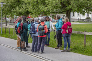 Sport, Stein, Wandern