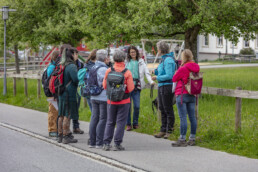 Sport, Stein, Wandern