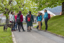 Sport, Stein, Wandern