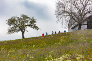 Sport, Stein, Wandern