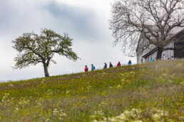 Sport, Stein, Wandern