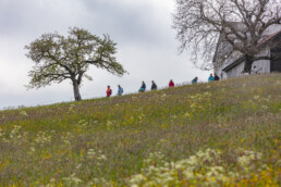 Sport, Stein, Wandern