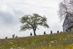 Sport, Stein, Wandern
