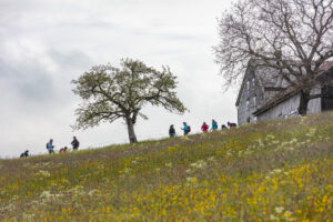 Sport, Stein, Wandern