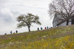 Sport, Stein, Wandern