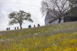 Sport, Stein, Wandern