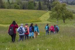 Sport, Stein, Wandern