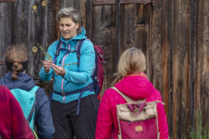 Sport, Stein, Wandern