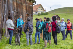 Sport, Stein, Wandern