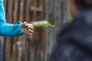 Sport, Stein, Wandern