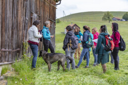 Sport, Stein, Wandern
