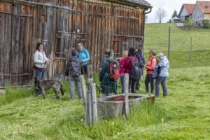 Sport, Stein, Wandern