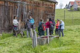 Sport, Stein, Wandern