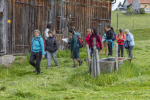 Sport, Stein, Wandern