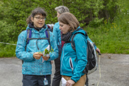 Sport, Stein, Wandern