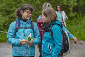 Sport, Stein, Wandern