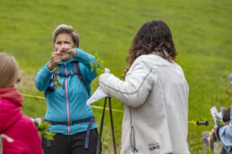 Sport, Stein, Wandern