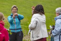 Sport, Stein, Wandern