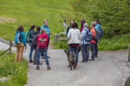 Sport, Stein, Wandern