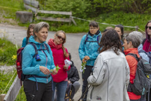 Sport, Stein, Wandern
