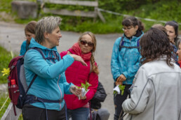 Sport, Stein, Wandern