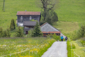 Sport, Stein, Wandern