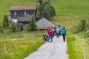 Sport, Stein, Wandern