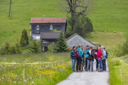 Sport, Stein, Wandern