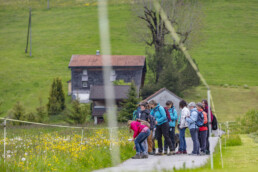 Sport, Stein, Wandern