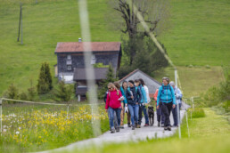 Sport, Stein, Wandern