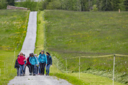 Sport, Stein, Wandern