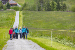 Sport, Stein, Wandern