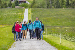 Sport, Stein, Wandern