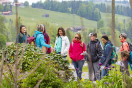 Sport, Stein, Wandern