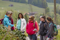Sport, Stein, Wandern