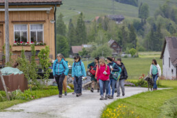 Sport, Stein, Wandern